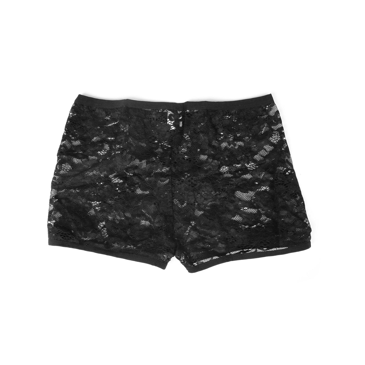 Men's Lace Boxer Briefs Floral Sheer Pouch Low Rise Underwear