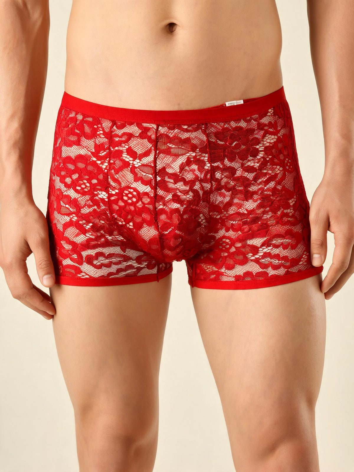 Men's Lace Boxer Briefs Floral Sheer Pouch Low Rise Underwear