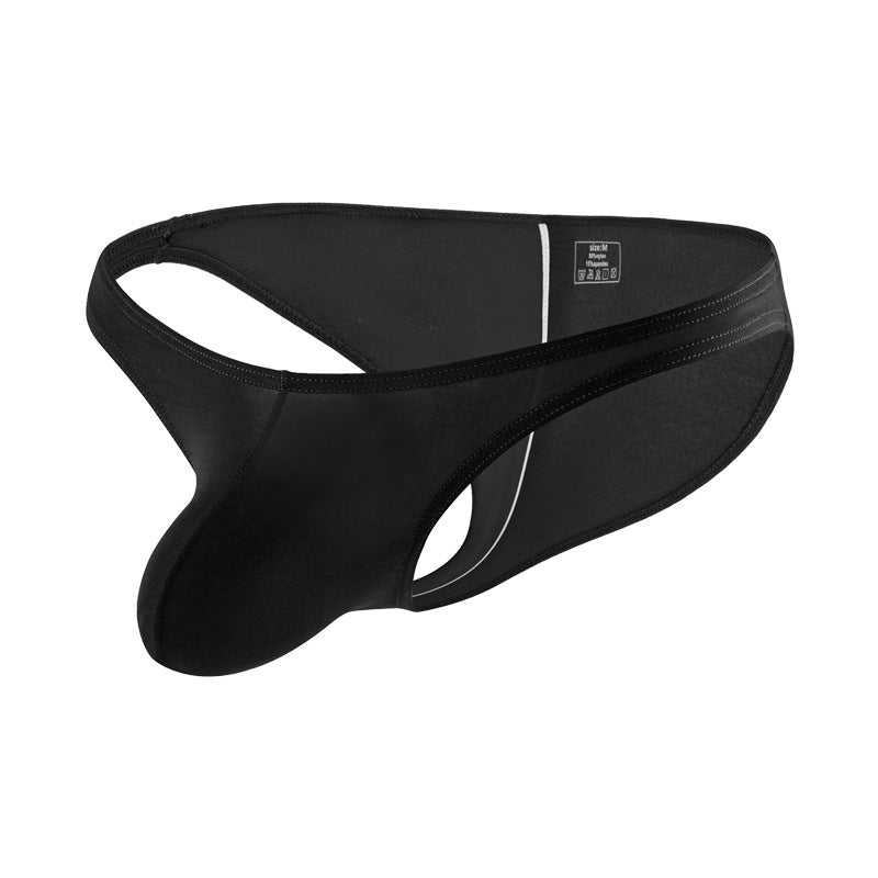 Men's Sheer Thong Pouch Low Rise Sexy Underwear
