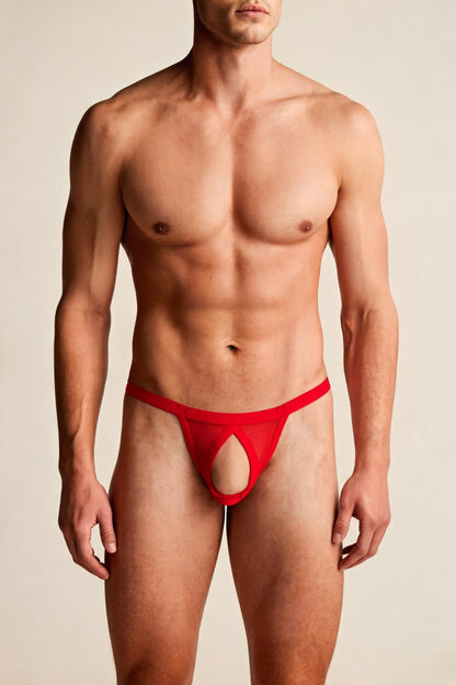 Men's Open Front Thong Low Rise Strappy Mesh Cut Out T-back Underwear