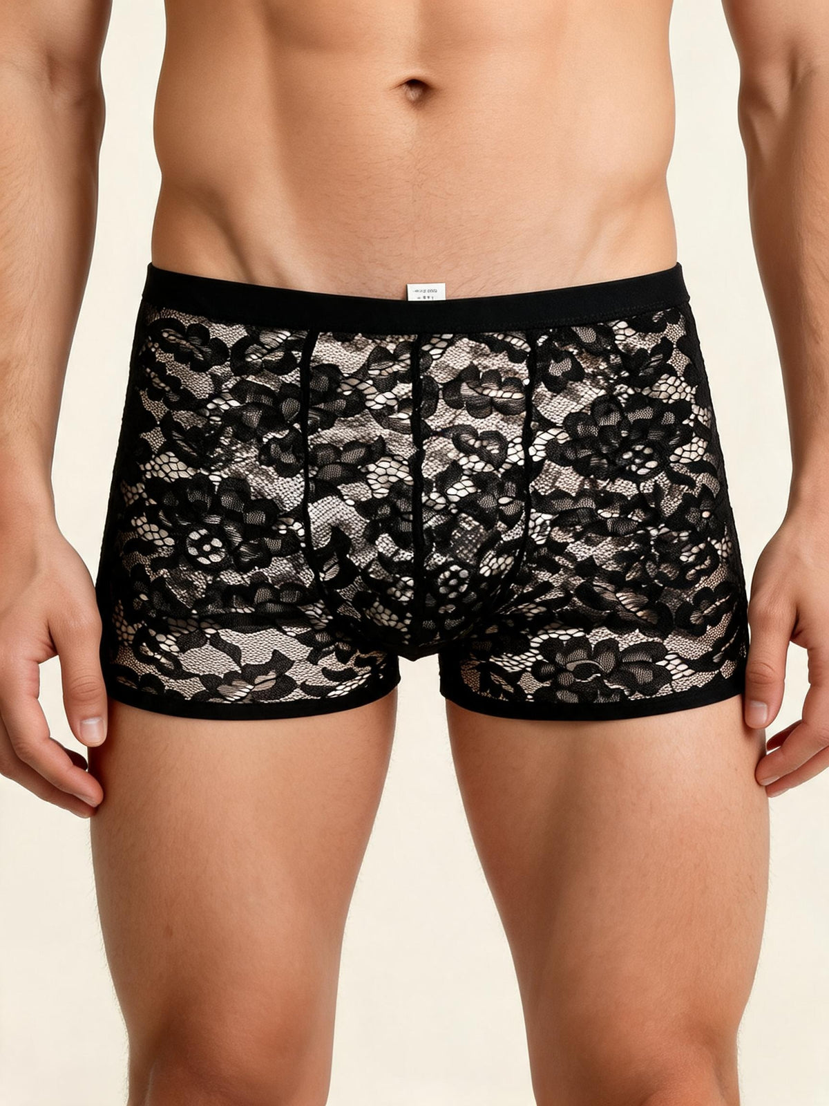 Men's Lace Boxer Briefs Floral Sheer Pouch Low Rise Underwear