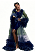 Bridal Ball Puffy Silky Yarn Robe Formal Dress Only Outer Mesh