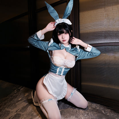 Bunny Cosplay Lingerie Set Deep V Cutout Leotard